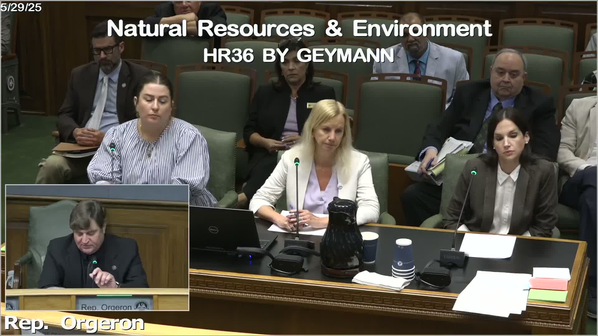 Simone Maloz criticizes estuarial necrosis impact at Mississippi River Delta committee meeting