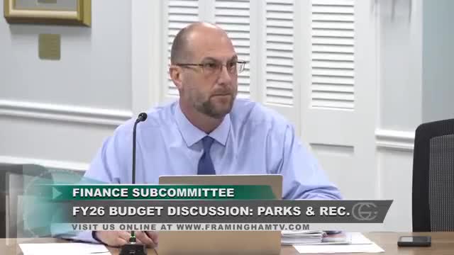 City Council to explore revenue and synthetic turf options at Bowditch and Winch Park