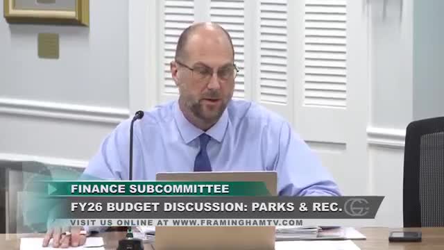 City plans comprehensive review of capital projects including Bowditch turf and Mary Denison