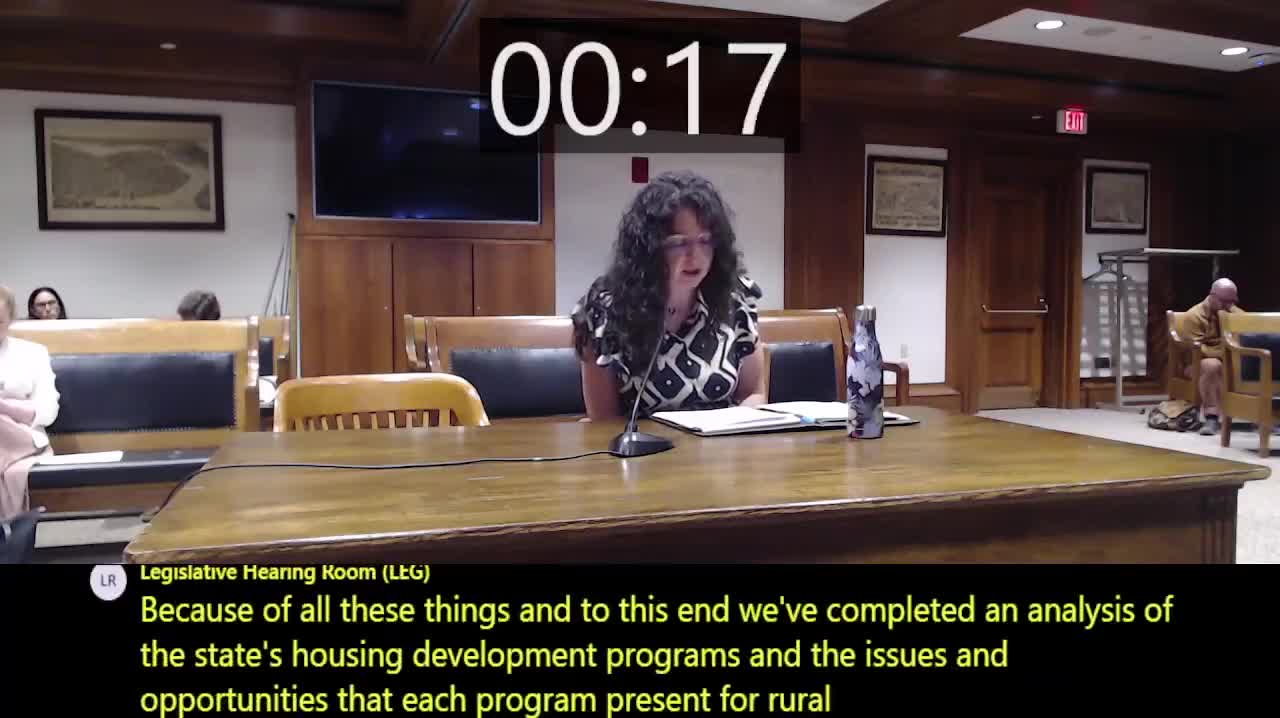 Committee discusses rural housing challenges ahead of meeting with governor