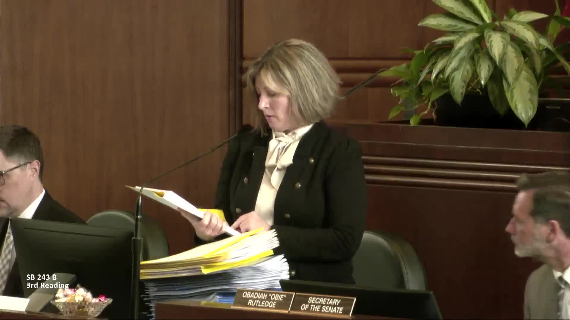 Oregon Legislature Passes Community Safety Firearms Act Targeting Rapid Fire Activators