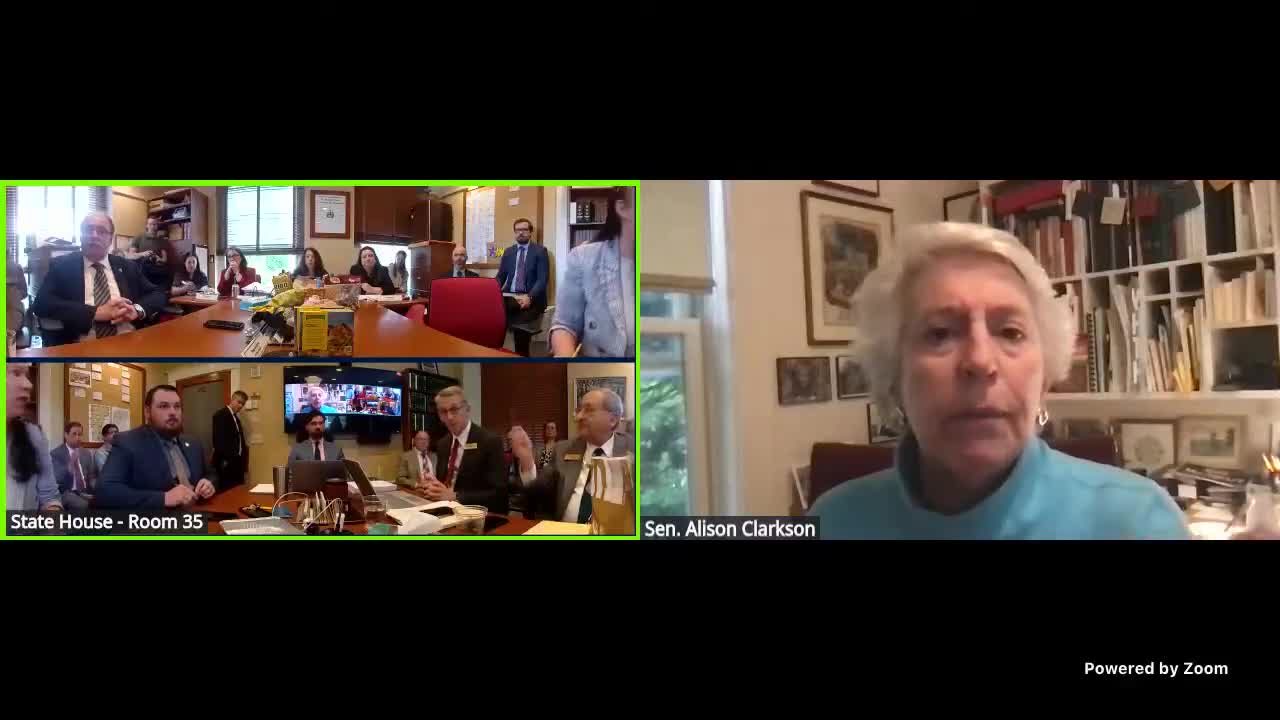 Group discusses logistics for conference call arrangement