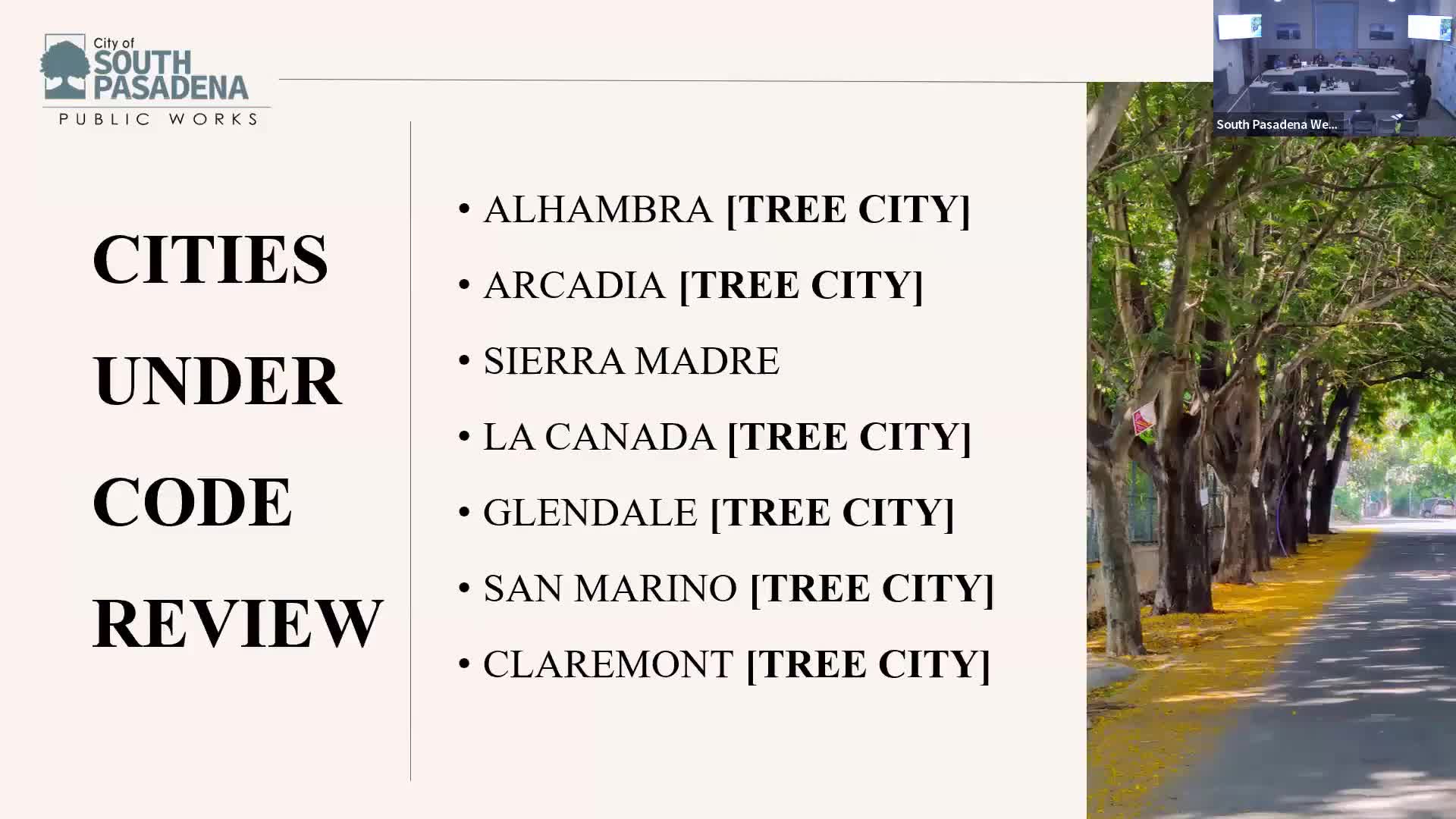 Urban Forestry Review Reveals Key Tree Ordinance Insights from Various California Cities