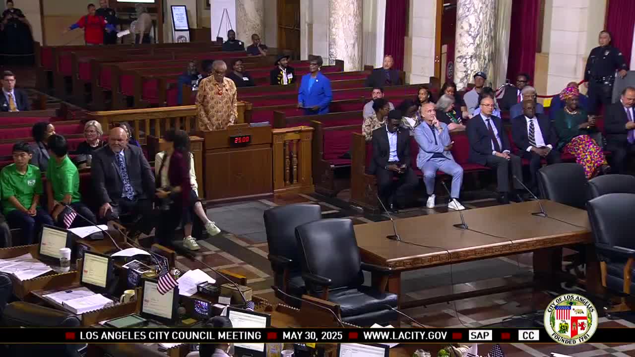 Council marks Africa Day; members outline ties, propose Africa trade and cultural hub