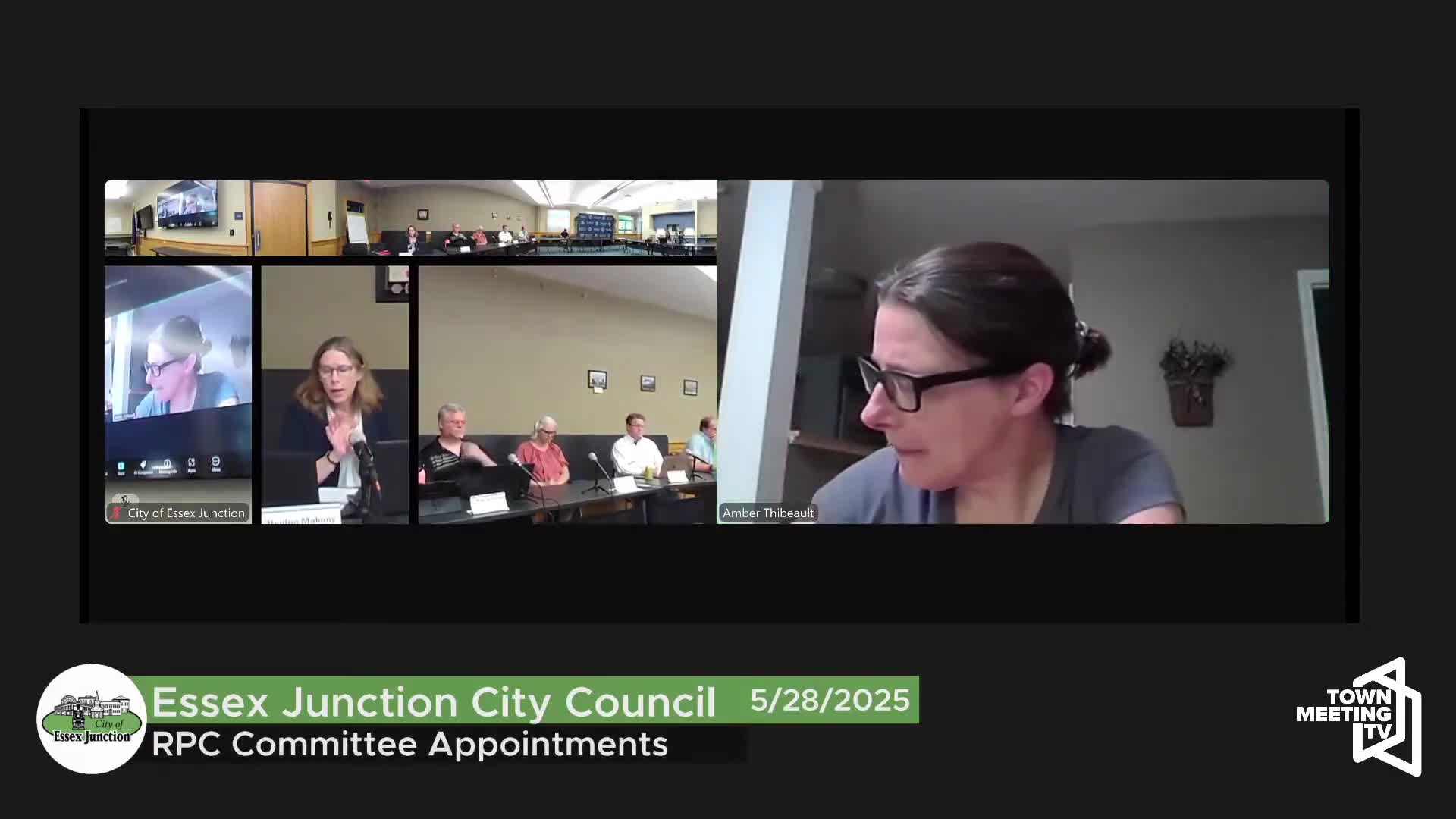 Council approves regional appointments, reappoints city clerk and tree warden; names new governance committee member