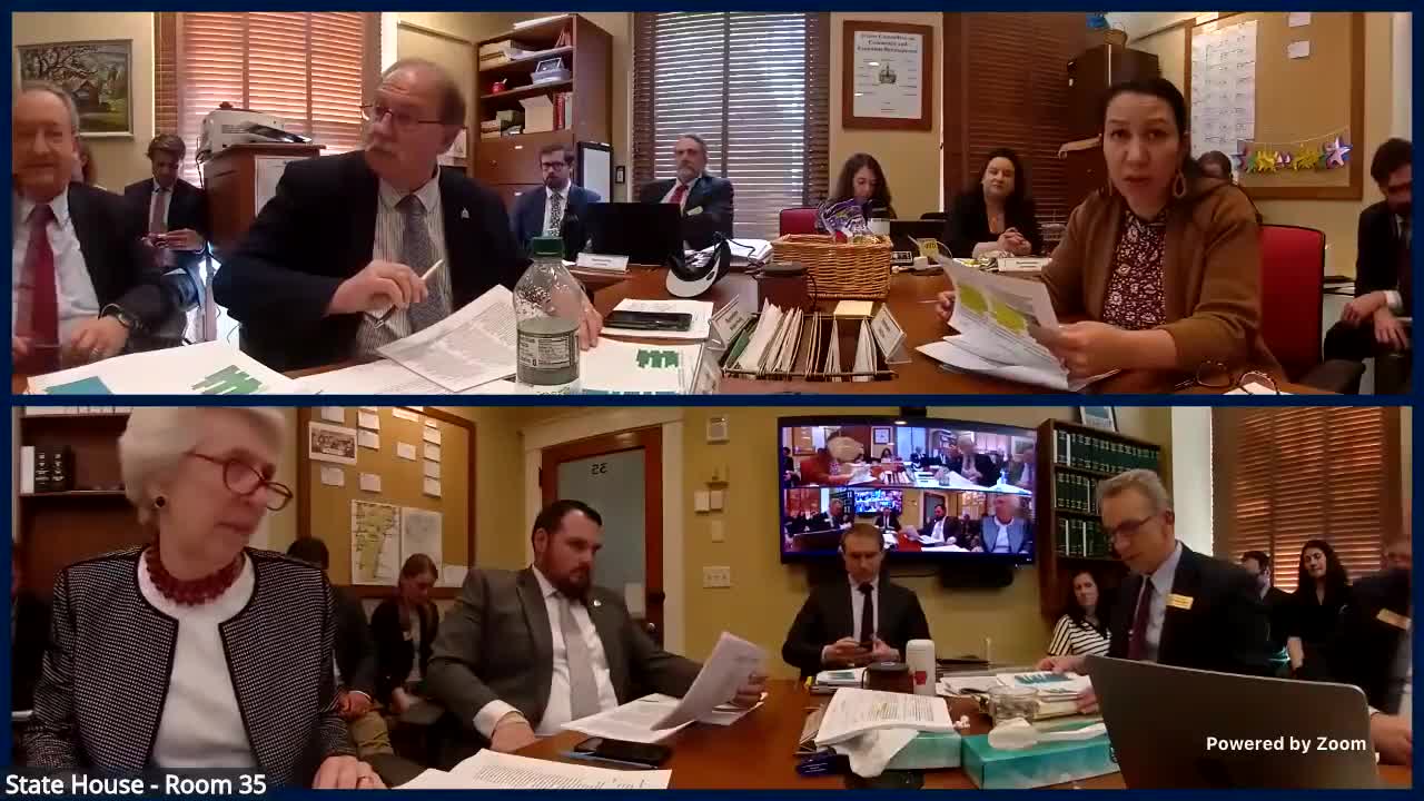 Conference committee debates new CHIP program limits, administration and auditability