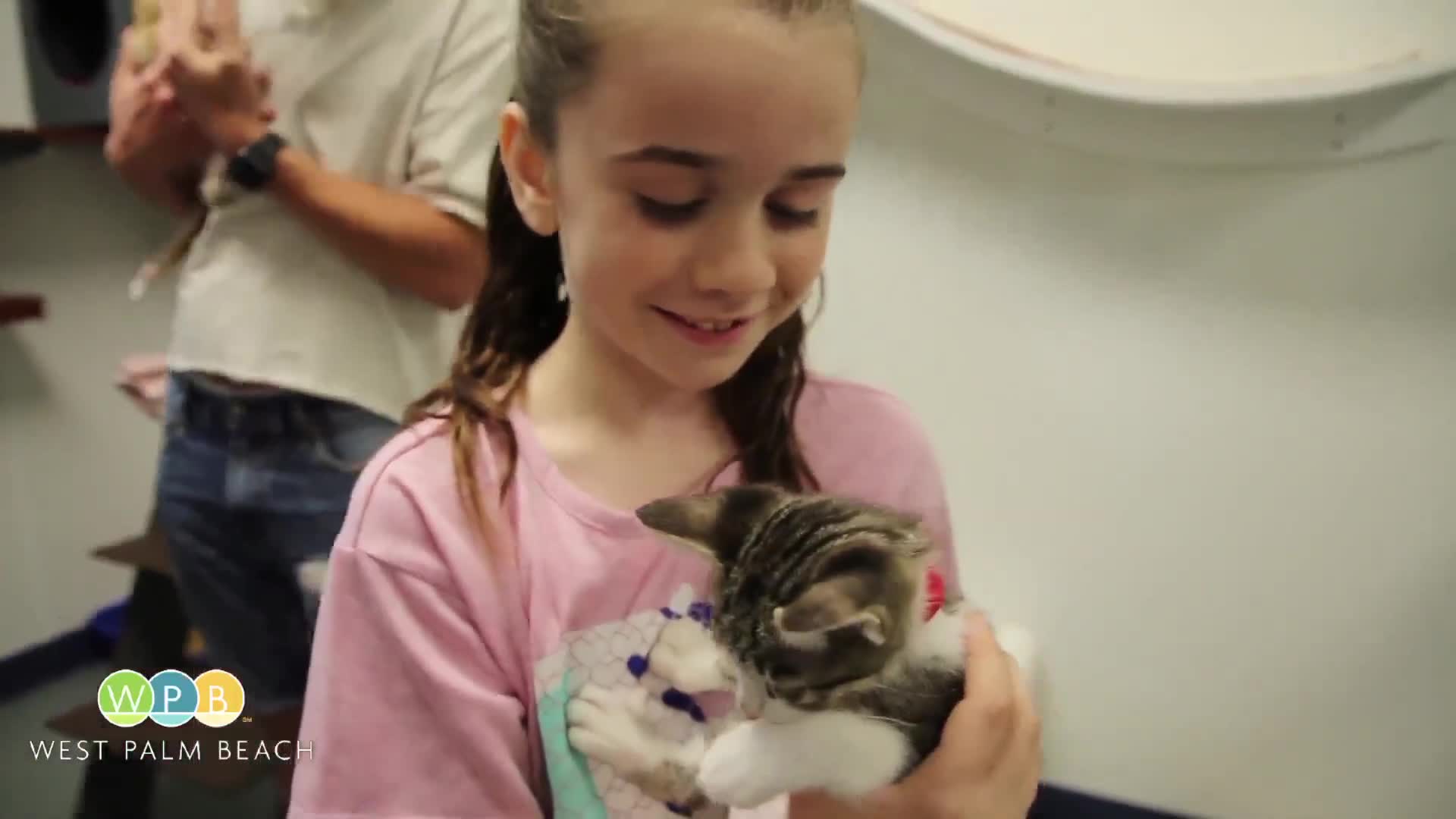 Peggy Adams Animal Rescue League waives adult cat fees, halves kitten adoption costs through Aug. 3