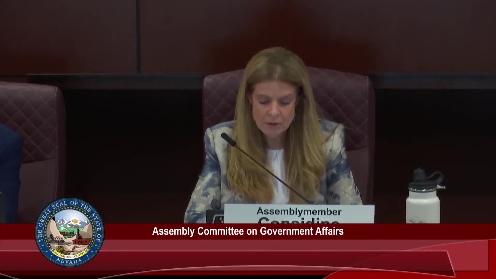 Assembly committee hears SB507 to centralize services for state boards; stakeholders press for more work on taxi/TNC language