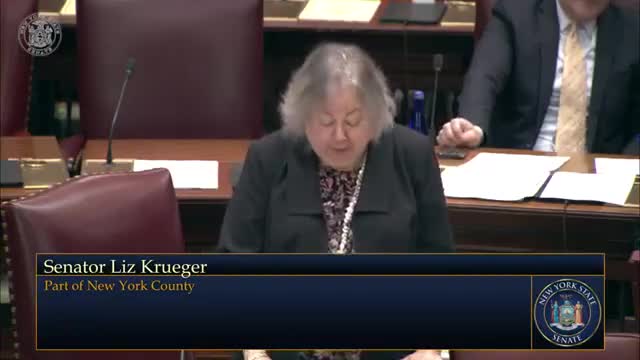 Senate confirms Denise Miranda as commissioner of New York Division of Human Rights