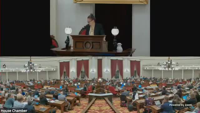 House to continue conference on house bill 4 54 during veto session; members to hold token sessions