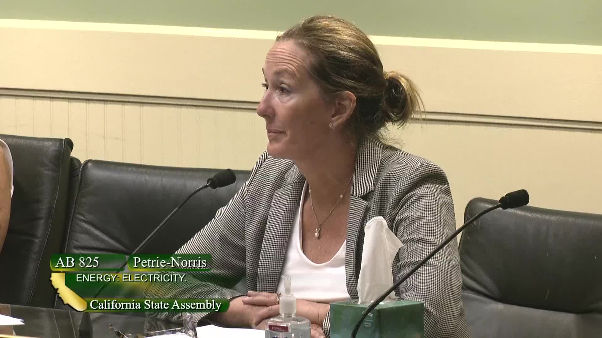 California Assembly debates wildfire fund reforms and public financing strategies