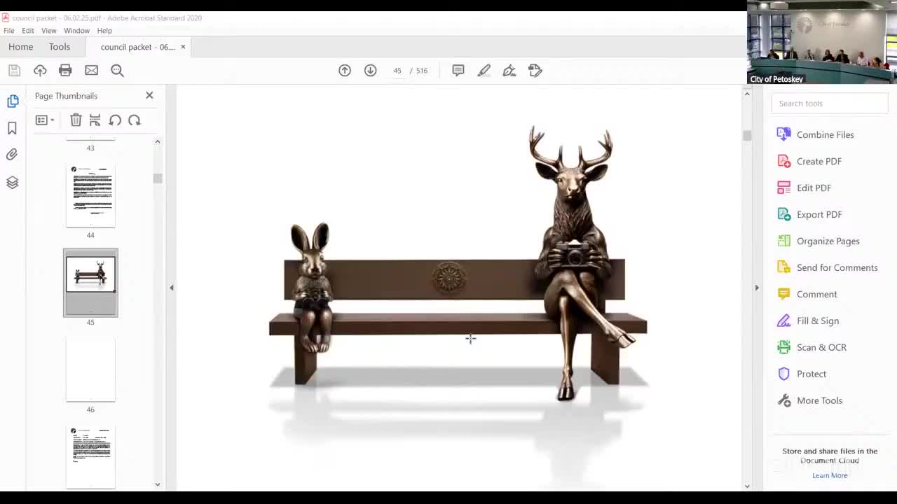 City Council approves $60,500 bronze sculpture purchase for public art project