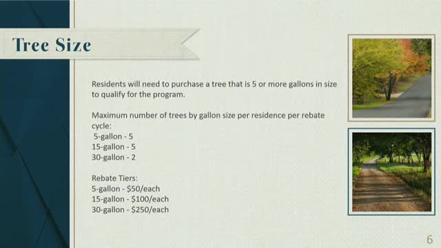 City Council Introduces Tree Planting Reimbursement Program to Enhance Urban Canopy