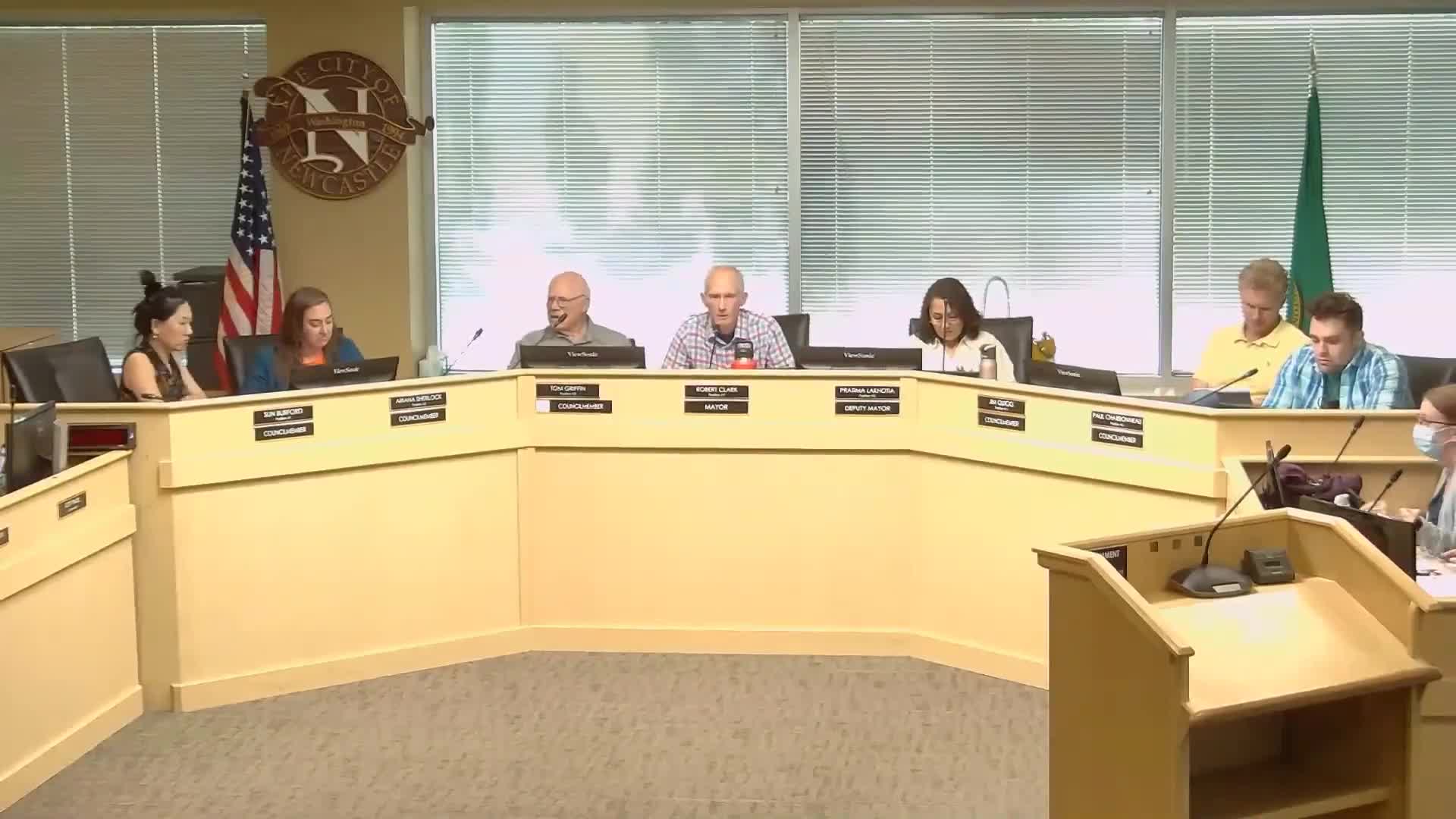 Newcastle City Council discusses city flag and public safety concerns