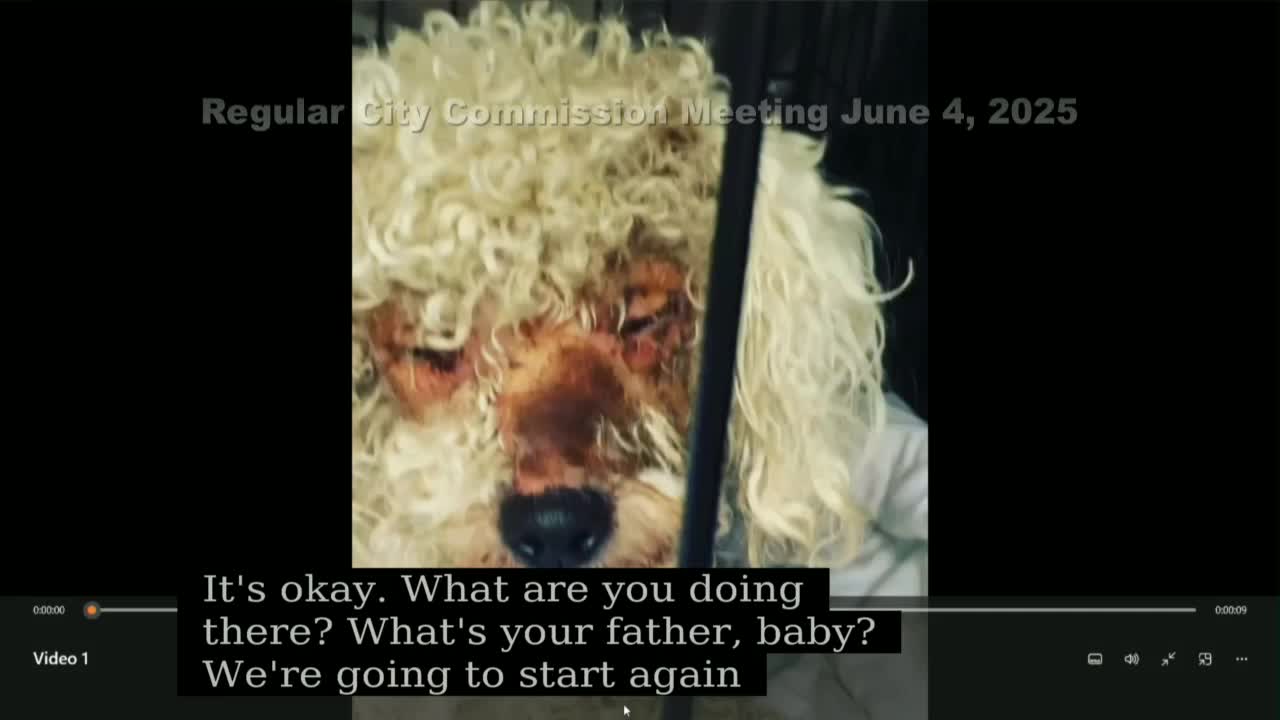Hallandale Beach officials reveal shocking animal neglect and child safety cases