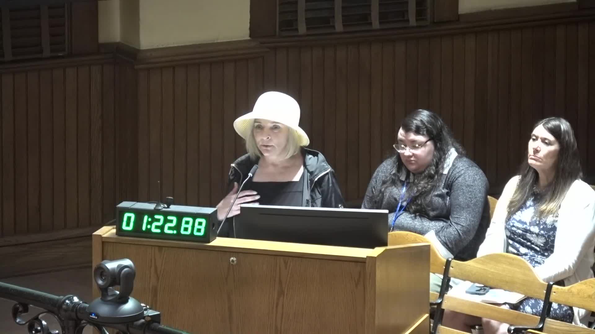 Advocate proposes nuclear fusion as alternative to solar energy in zoning discussion