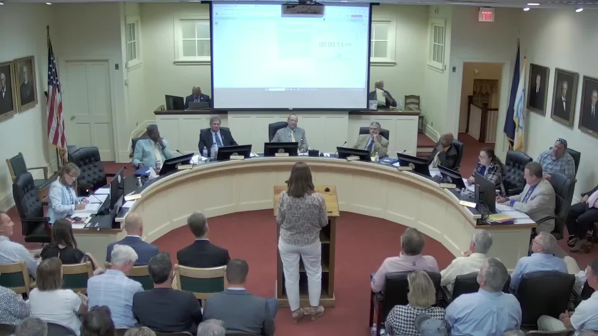 Deltaville residents oppose KDC solar project citing community decline