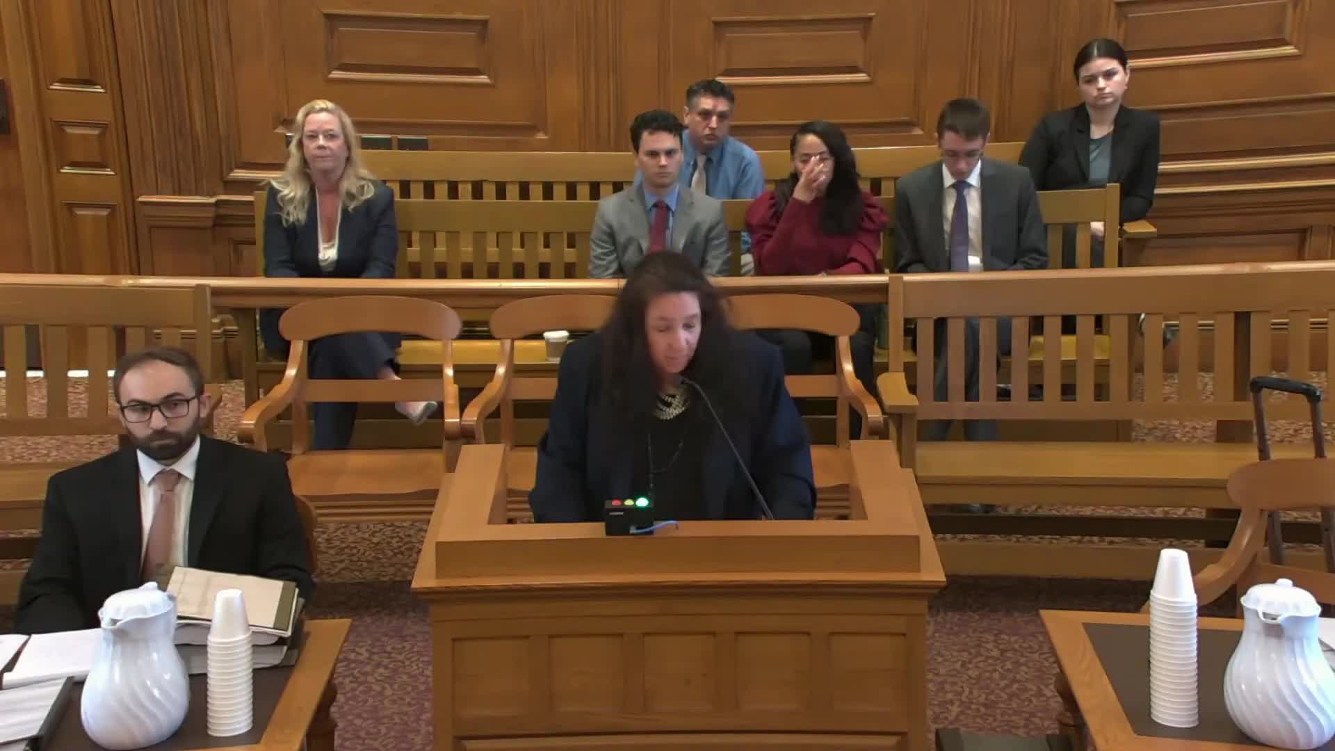 Court hears arguments in father’s appeal on witness exclusion in custody case