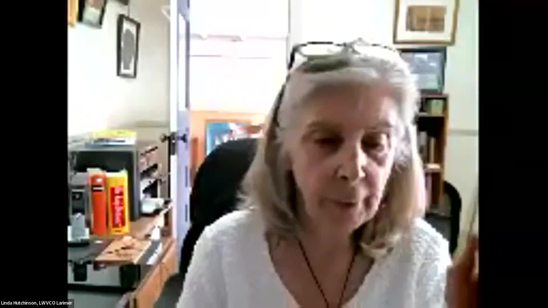 League task force hears plan for constitutional transparency initiative and discusses open‑meetings changes