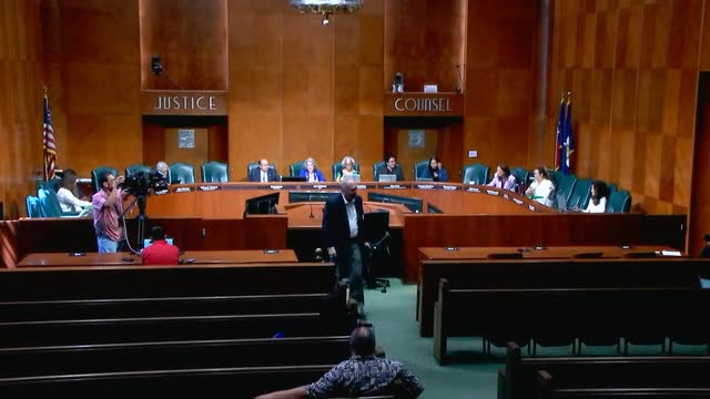 Deborah Moran advocates against light pollution at Houston City Council meeting