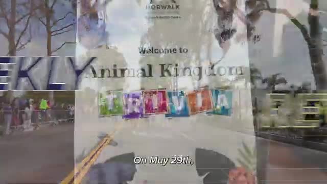 Norwalk hosts trivia night and 5K run engaging community events