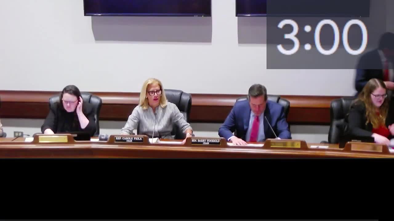 Representative Faiola leads first Joint Committee hearing on Economic Development