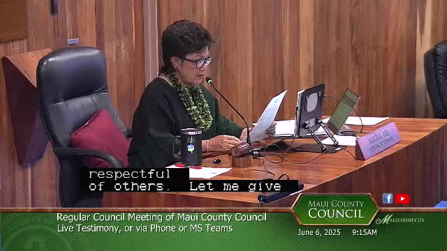 Keisha Lou advocates for neurodivergent representation at local council meeting