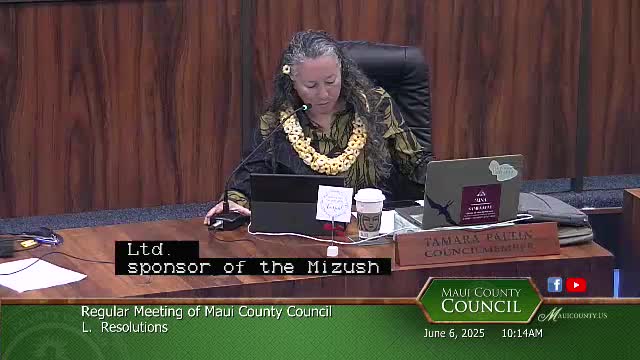 Maui Council adopts resolutions for Ho'onani Village development project review