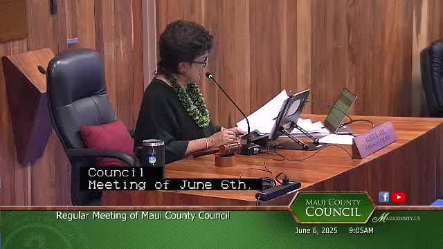 Council Member Kiani Rollins Fernandez addresses global crises in opening remarks