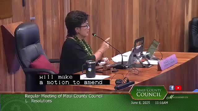 Maui County Council passes multiple budget bills including economic development grants