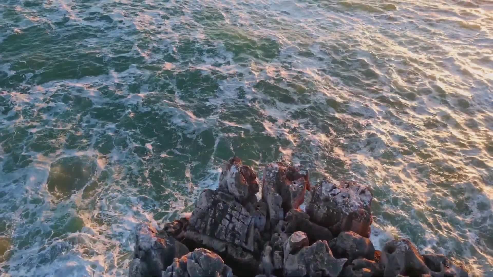 Public commenter urges global action to restore oceans ahead of UN Ocean Conference in Nice