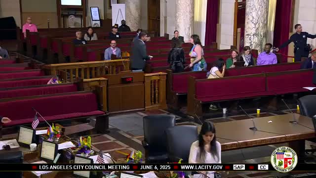 Council member Nazarian highlights budget cuts to state arts funding during public comment