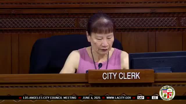 Council holds Pride Month recognitions, honors dozens of community leaders; public commenters raise surveillance and immigration concerns