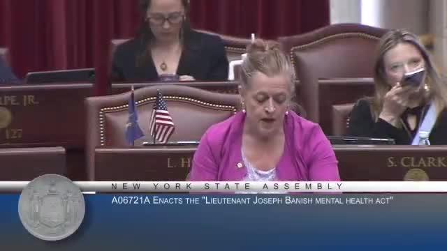 Nassau County legislators pass mental health bill for police peer support program