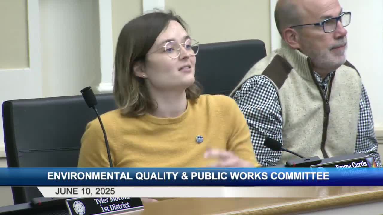 Council member Curtis raises concerns on climate change mitigation strategies