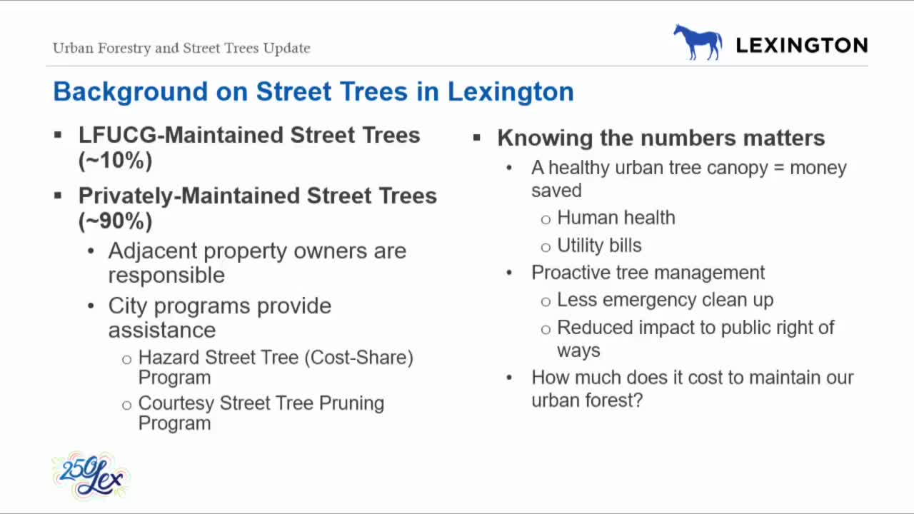 City launches programs to support homeowners in hazardous tree removal initiatives