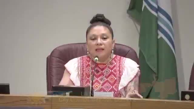 City Council holds District 2 town hall addressing community concerns and Juneteenth recognition