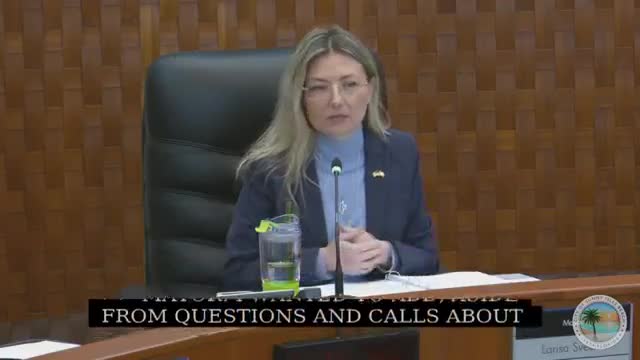 Miami City Council reviews holiday lights proposal for Light Her Up contract extension