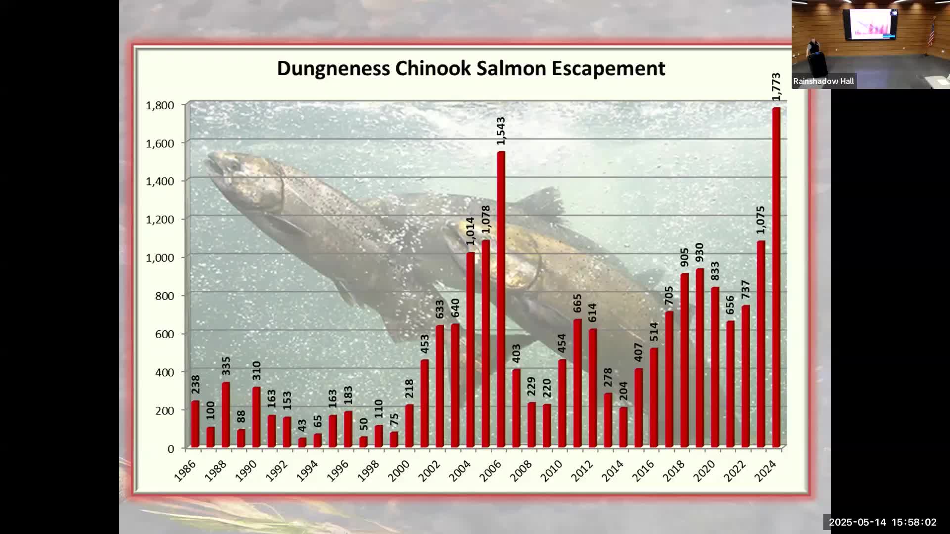 Puget Sound Chinook Salmon Forecast Reveals Rapid Decline in Returns