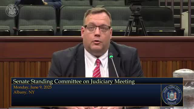 Jay Kim and Dennis Rio testify for judicial nominations in New York Senate committee