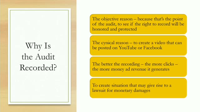 Auditors leverage YouTube for profit with monetized video content
