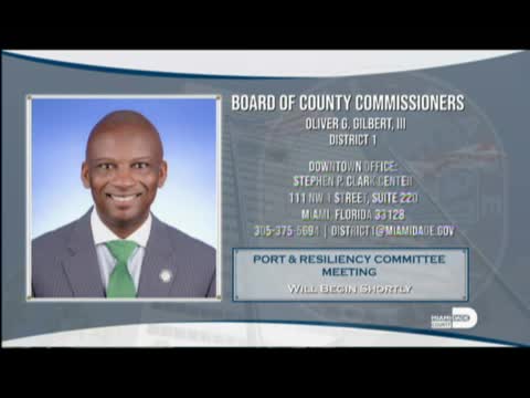Biscayne Bay committee considers seawall permit amendments for environmental protection
