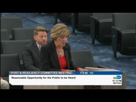 Contractor Solomon Arroyo advocates for expedited seawall permit process in Miami