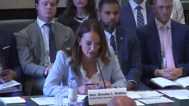 USDA Secretary Rollins addresses ag community concerns in congressional hearing