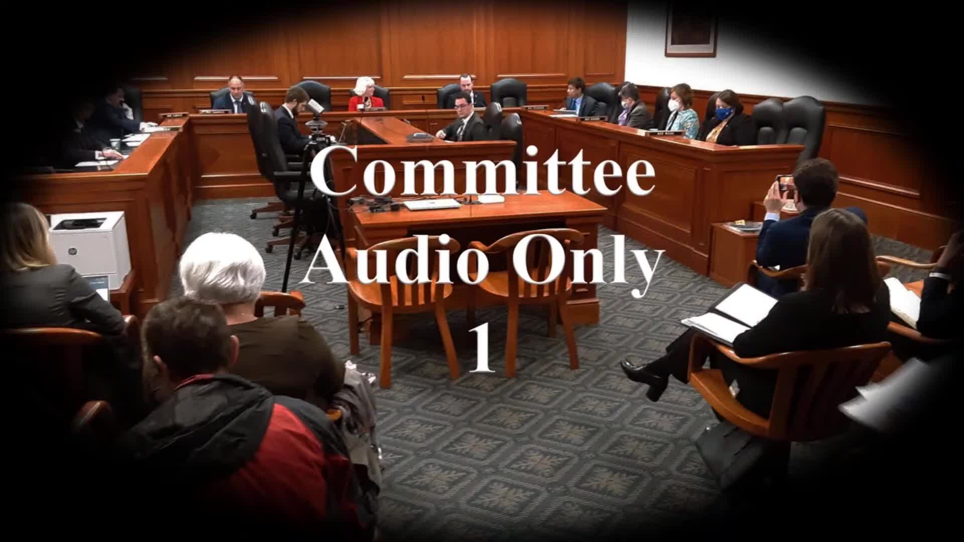 Senate committee debates voting rules expanding eligibility for electronic ballot returns