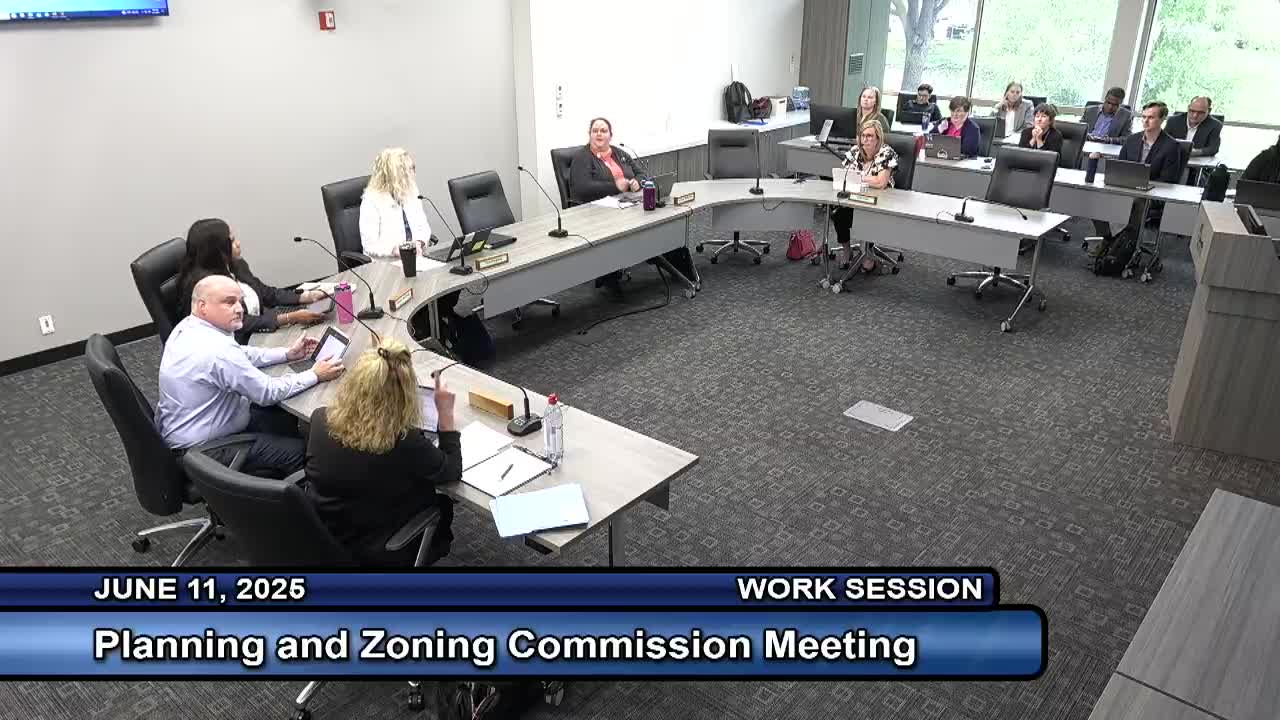 Commissioner McDuff nominates Riggs as new acting chair during planning meeting