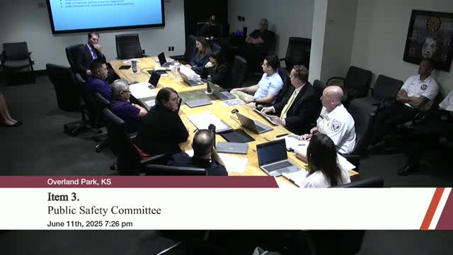 Council discusses strategic goals for safe and healthy neighborhoods amid operational challenges