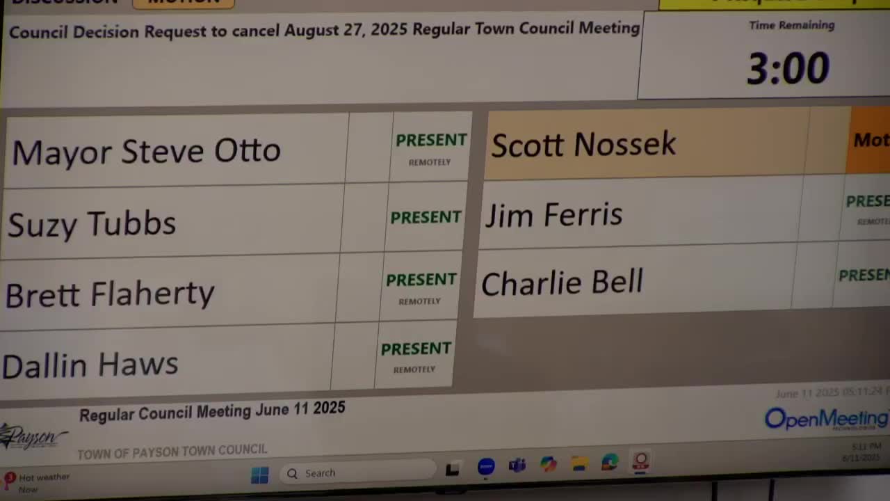 Council member urges vote on critical decision amid Zoom confusion