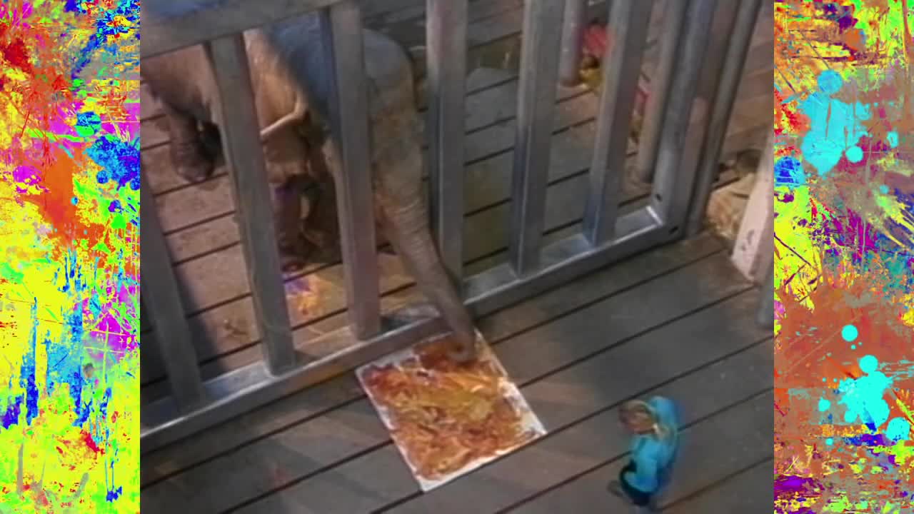 Artist John Banovich partners with painting elephant Cindy to raise awareness for elephants