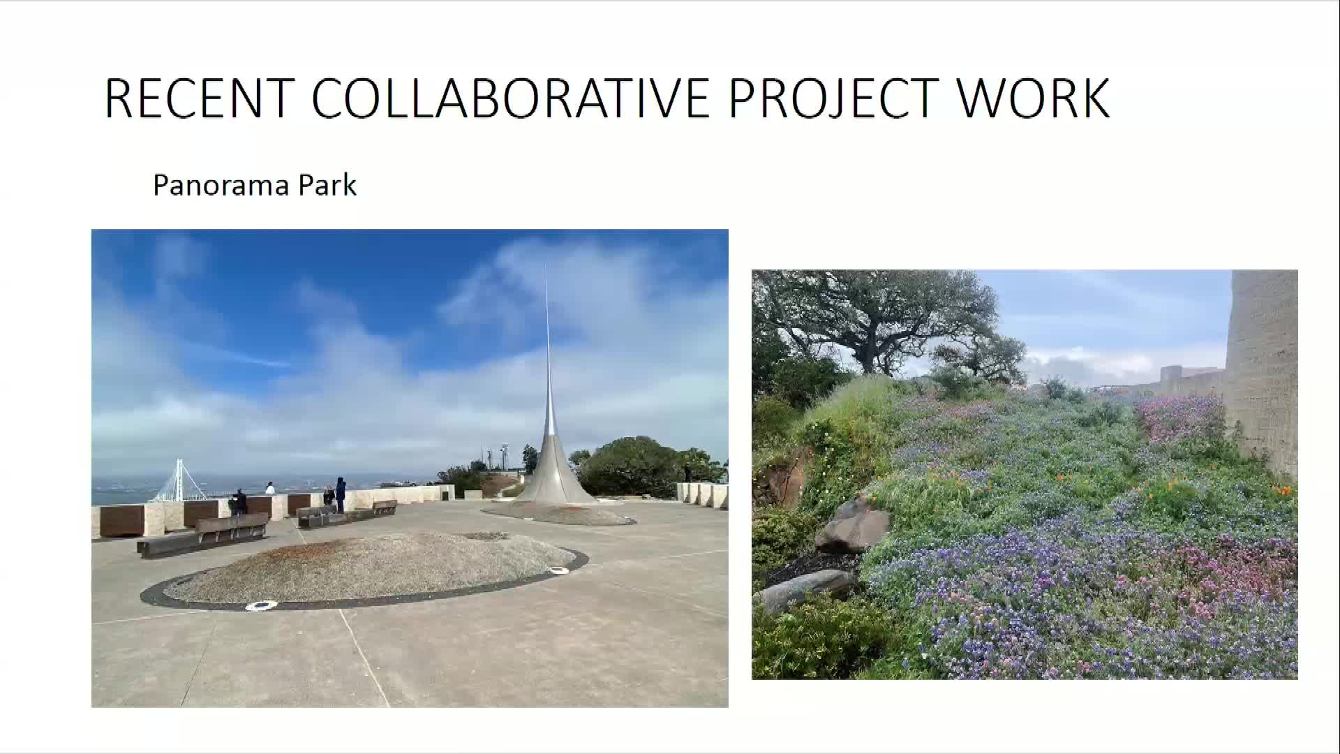 Collaborative plans disclosed for landscape restoration at Yerba Buena Island parks